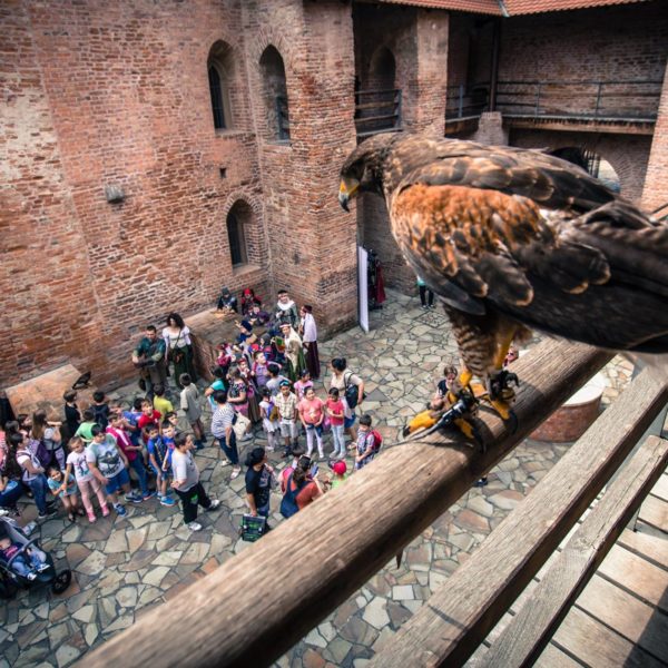 Már nagyon várjuk a márciust, mutatjuk miért!