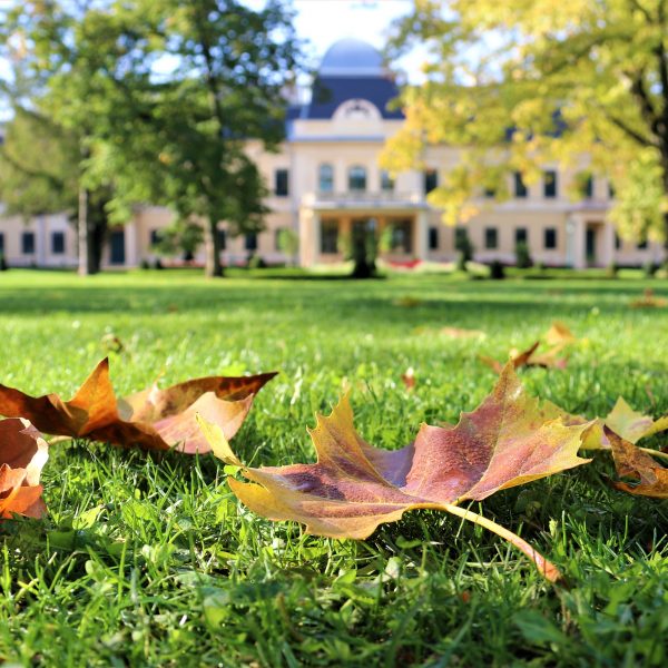 Őszi nyitvatartási rend a gyulai kiállítóhelyeken
