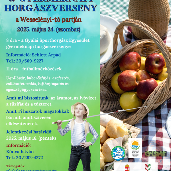IV. Törökzugi Batyus Piknik