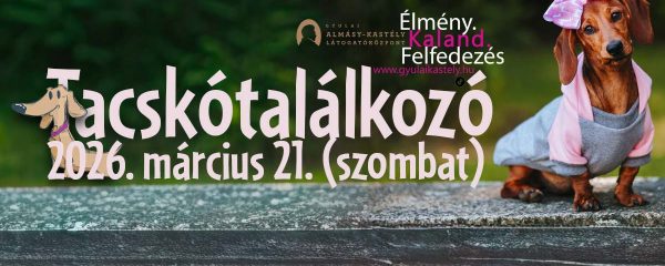 Tacskótalálkozó 2026